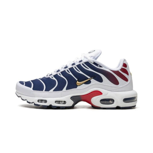 Nike Air Max Plus ''PSG''