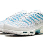 Nike Air Max Plus "Marseille"