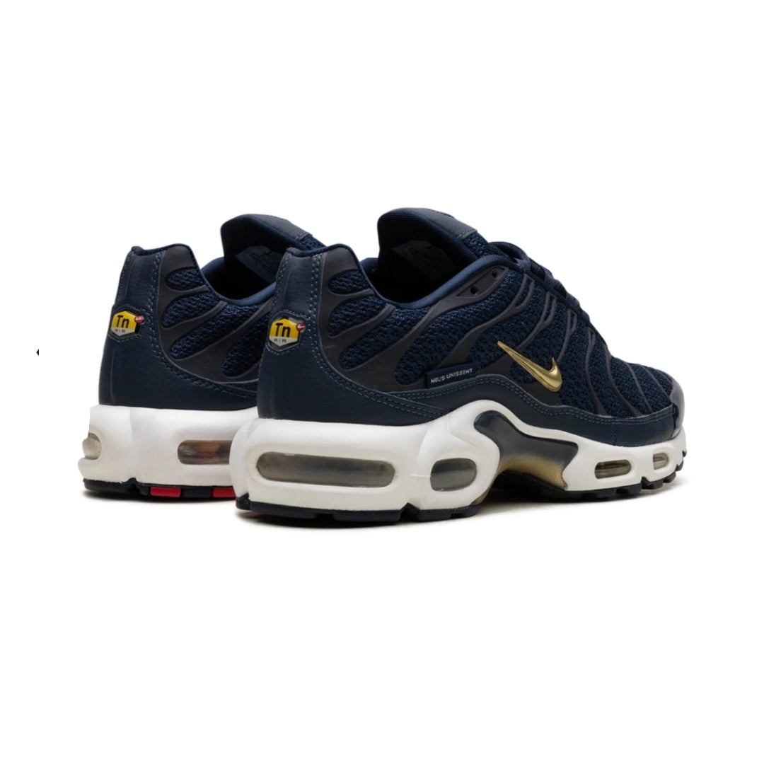 Nike Air Max Plus "FFF"