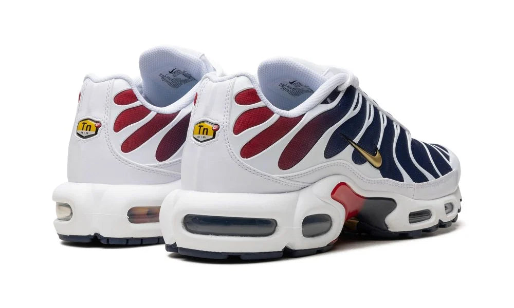 Nike Air Max Plus ''PSG''